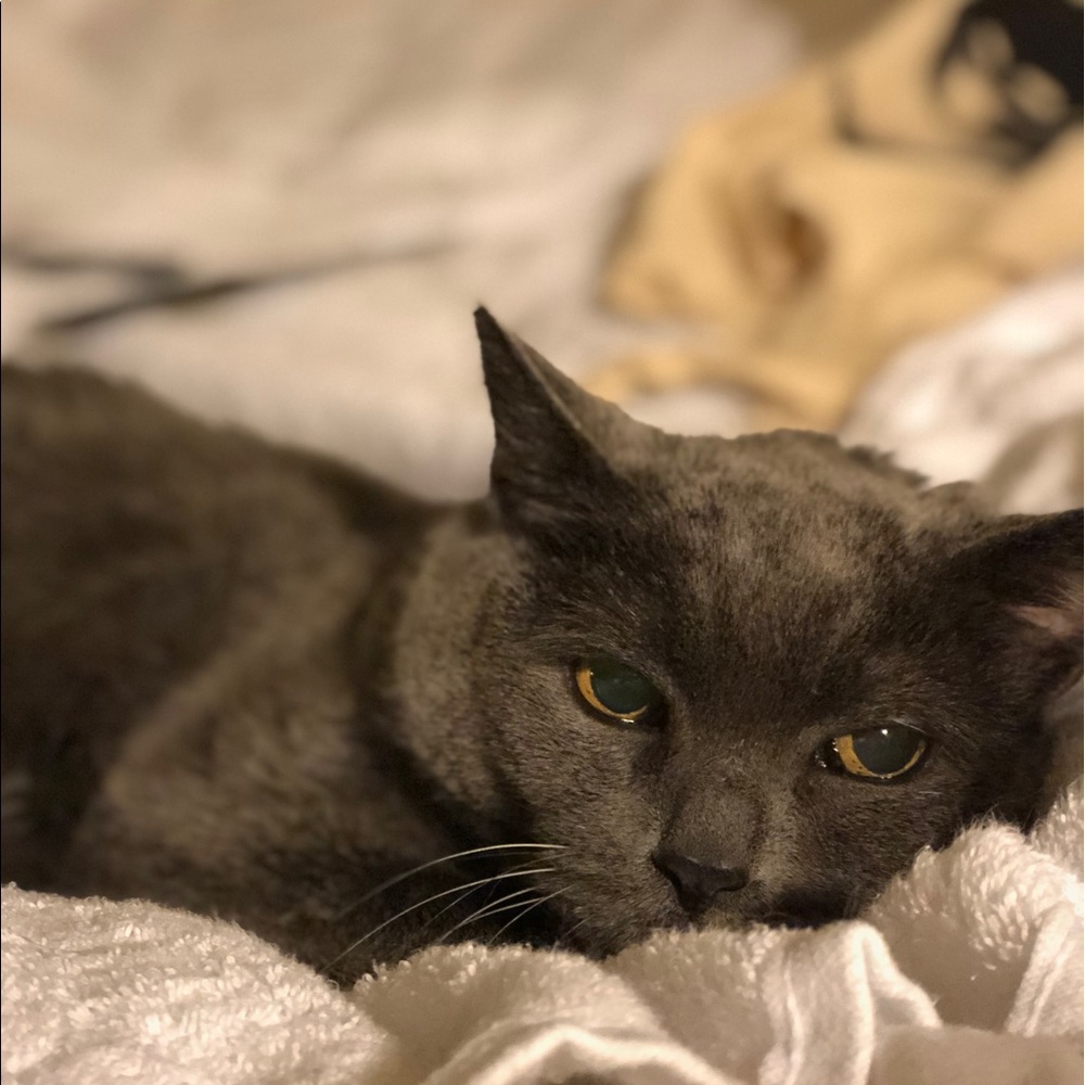Meet your Posher, Circe